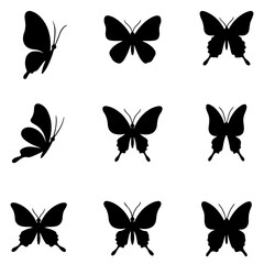 An ethereal butterfly graphics for a dreamy and artistic vector collection