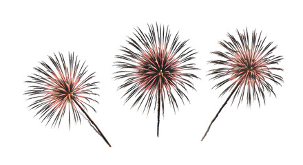 Isolated Three Fireworks
