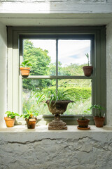 Potted plants decorating window sill in cozy Highlands cottage