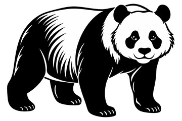 Fototapeta premium Majestic Giant Panda Black and White Illustration