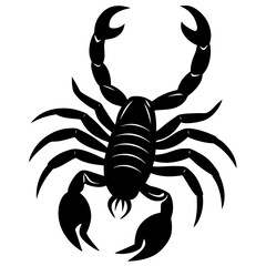 black scorpion isolated on white background