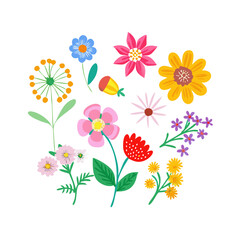 Vibrant floral arrangement isolated on white background, perfect for design projects