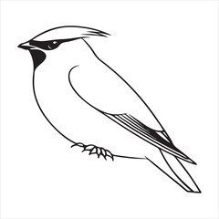 Cedar Waxwing Bird – Graceful North American Beauty in Natural Habitat