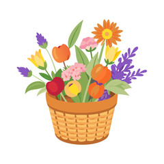Vibrant spring flowers in a woven basket isolated on white