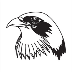 Mountain Bluebird Bird – Vivid American Beauty in Open Landscapes