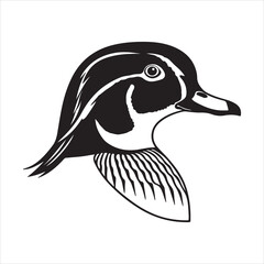 Wood Duck Bird – Stunning American Water Bird in Forested Wetlands