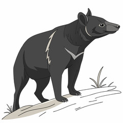Asiatic black bear standing on a rock cliffside illustration