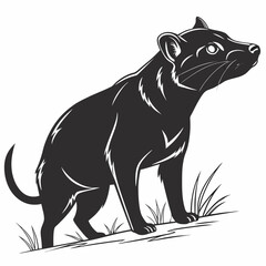 Tasmanian devil silhouette standing in grassland