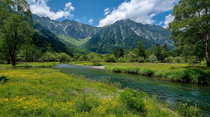 Mountain Meadow with Wildflowers and Flowing Stream