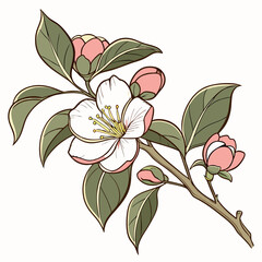 Delicate branch of blooming white and pink flowers with lush green leaves