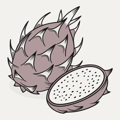 Dragon fruit illustration whole and half tropical exotic fruit
