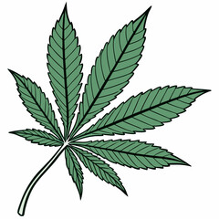 Single cannabis leaf illustration green botanical marijuana plant