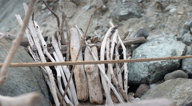 Driftwood arranged on a rocky beach in San Francisco, California.