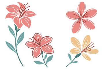 Flat Vector Lily Flowers  Modern Floral Clipart Set