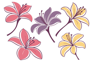  Lily Flower Illustrations  Pastel Botanical Design

