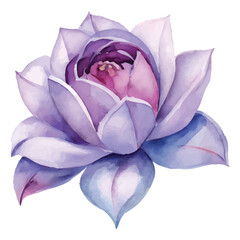Watercolor Rose Blossom  Vintage Floral Decor Design