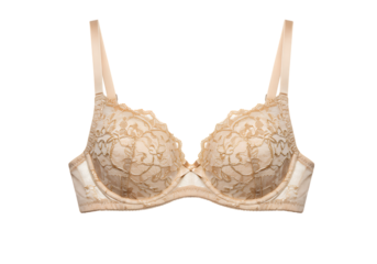 Champagne Lace Bra Gold Detail isolated on a transparent background