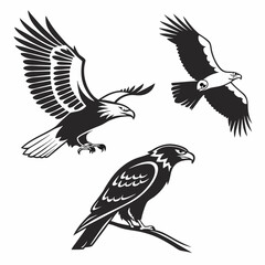 Three majestic eagles in flight and perched powerful birds of prey black and white vector illustration