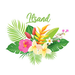 Vibrant tropical island flowers and leaves png with transparent background