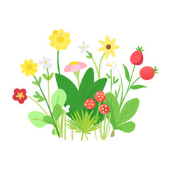 Vibrant spring flowers and berries cluster isolated on white