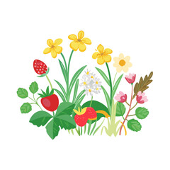 Vibrant spring flowers and strawberries isolated on white background