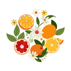 Vibrant citrus fruit and blossom bouquet illustration on white