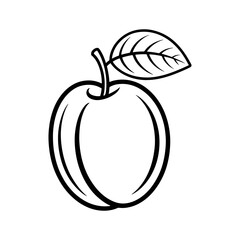 Line art illustration of a single apricot with leaf