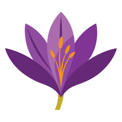 chrysanthemum line art