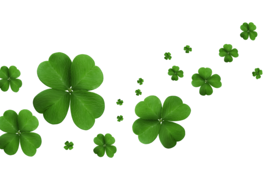 Flying falling four leaf clovers isolated on transparent or white background, png