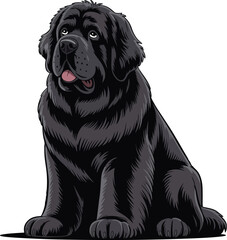 Newfoundland Dog Vector