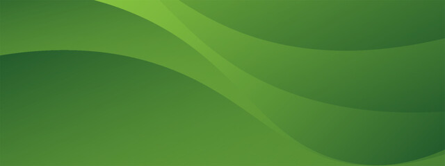 Abstract green wavy background. vector illustration