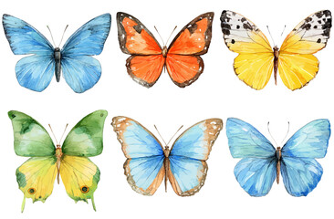 Vibrant Watercolor Butterfly Collection Six Unique Designs for Art and Design Projects