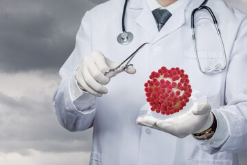 Doctor examines virus model in laboratory setting.