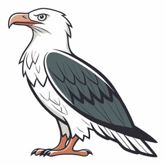 Fototapeta premium Majestic white-tailed eagle bird of prey illustration