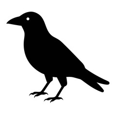 Simple crow Vector illustration