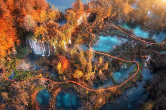 Aerial view of waterfall in red autumn forest at sunrise. Morning in Plitvice Lakes park, Croatia. Colorful landscape with waterfall, trees, wooden trails and bridges, orange foliage, river. Top view