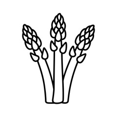 Three asparagus spears line art illustration