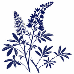  blue false indigo vector