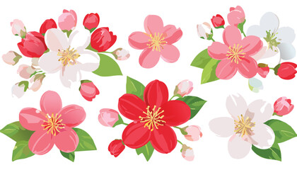 Cherry flower blossom, botanical art. Spring almond, sakura, apple tree branch, hand draw doodle vector illustration. Cute black ink art, isolated on white background. outline, tattoo, botanical,