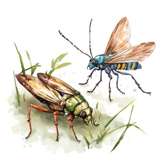 watercolor of Insects Waking Sunlit Floor, vector, isolated on a white background.
