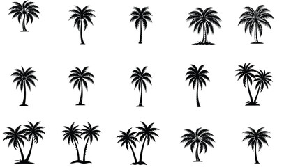 Fototapeta premium Set of Palm Tree Silhouette Vector Illustration