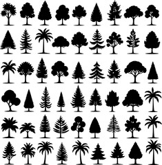 Tree  Vector Silhouettes  Bundle Collection