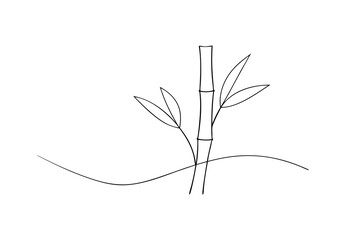Simple line drawing of bamboo plant minimalist design