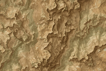 Fototapeta premium tree bark texture