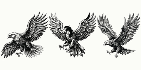Eagle Tattoo Designs Vector - Black and White Hand-Drawn Flying Eagle Art