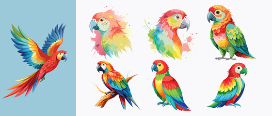 Fototapeta premium Colorful Parrot Illustration Art - Vibrant Watercolor Bird Vectors for Design