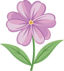 pink flower isolated on white background