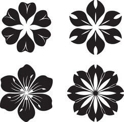 Obraz premium black and white flowers