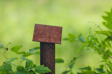 Rusty metal post with square cap surrounded by green leaves in nature
