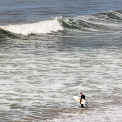 Surfer